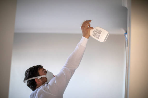 Best Mold Removal Company Near Me  in Dade City, FL
