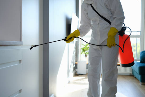 Best Mold Removal Near Me  in Dade City, FL