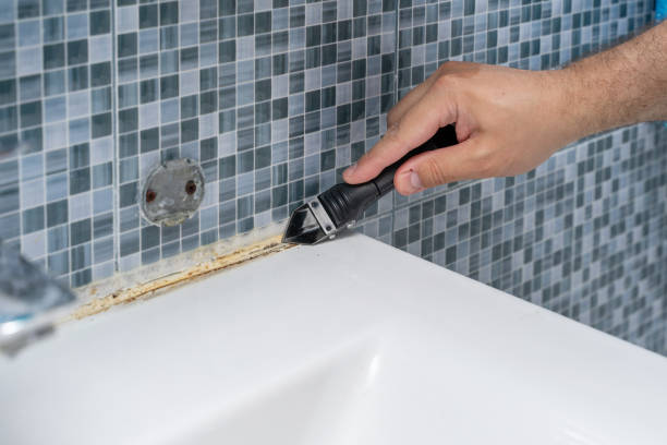 Best Toxic Mold Removal  in Dade City, FL